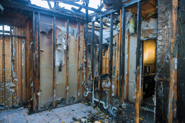 Professional Fire Damage Removal technician working in Wynnewood, PA