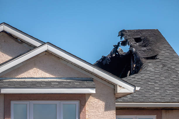 Top rated local Fire Damage Removal specialists in Wynnewood, PA
